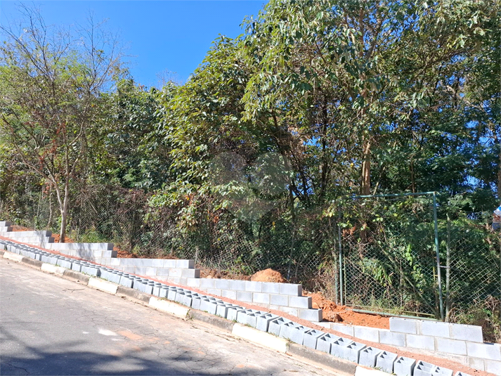 Foto REO1110472