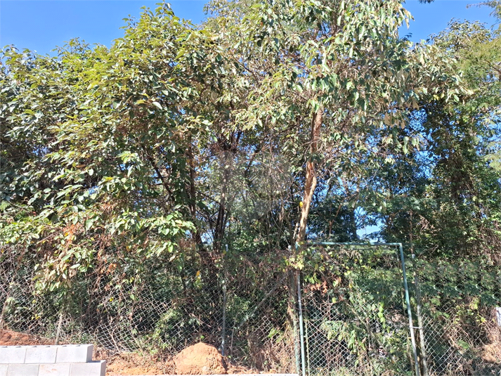 Foto REO1110472