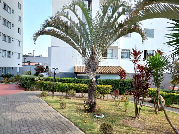 Foto REO1110475
