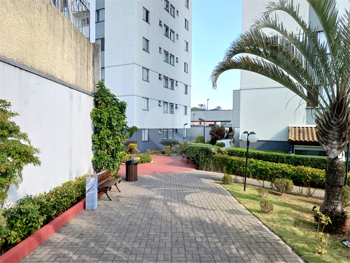 Foto REO1110475