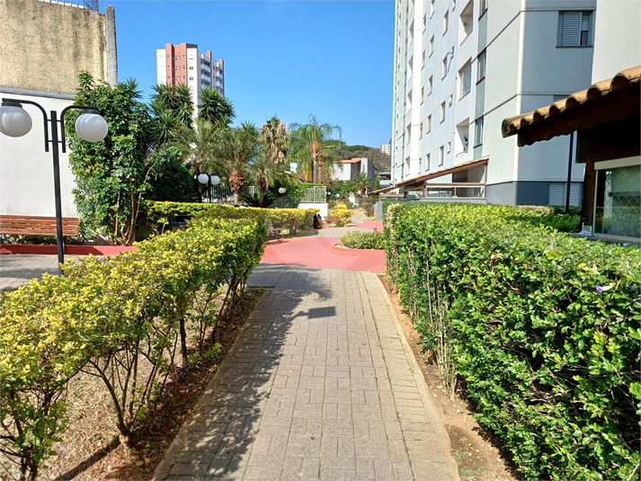 Foto REO1110475