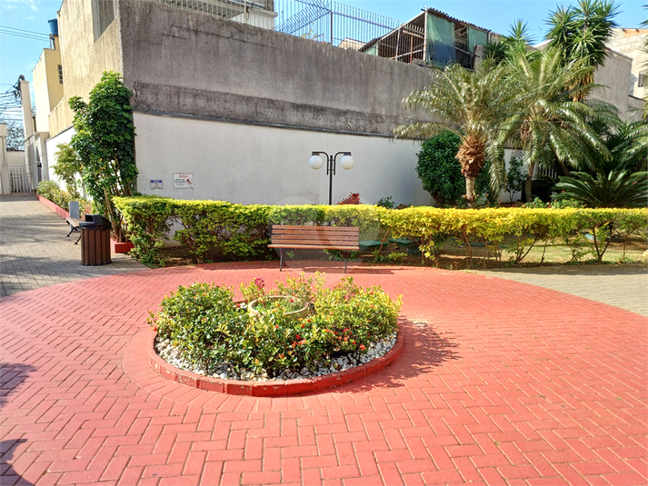 Foto REO1110475