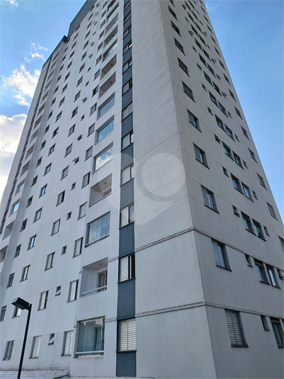 Foto REO1110475