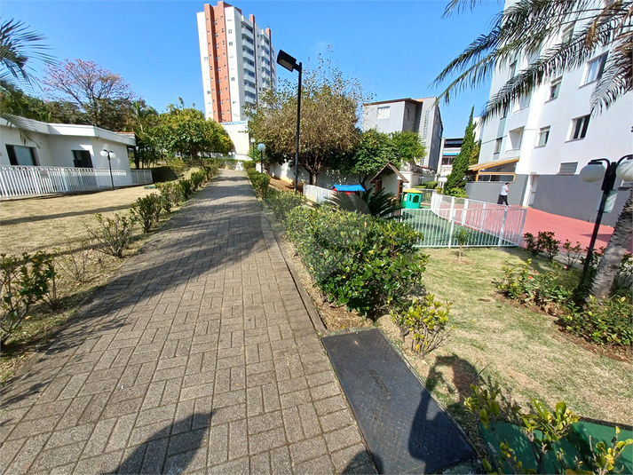 Foto REO1110475