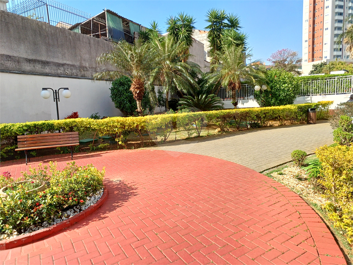 Foto REO1110475
