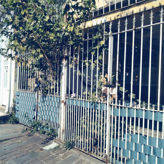 Foto REO1110508