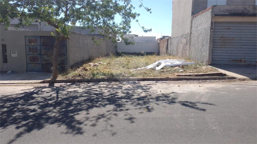 Foto REO1110549