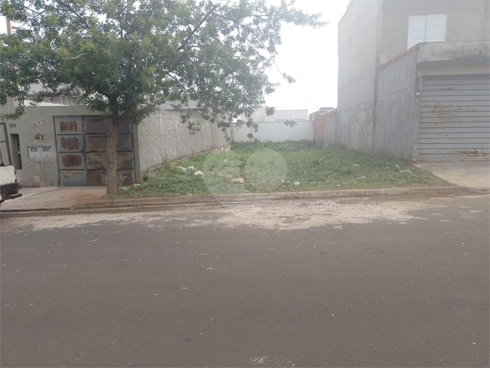 Foto REO1110549