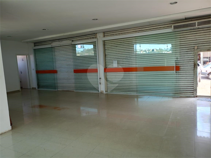 Foto REO1110568