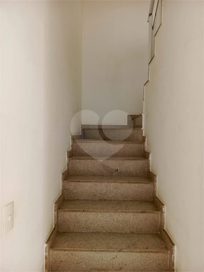 Foto REO1110577