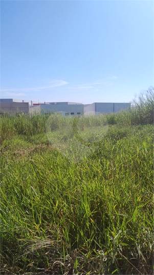 Foto REO1110586