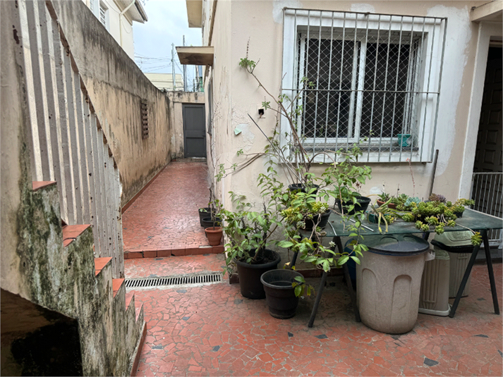 Foto REO1110587