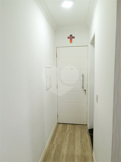 Foto REO1110599
