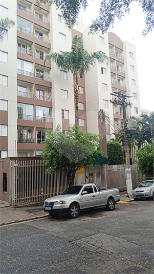 Foto REO1110599