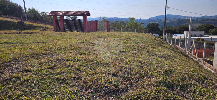 Foto REO1110626
