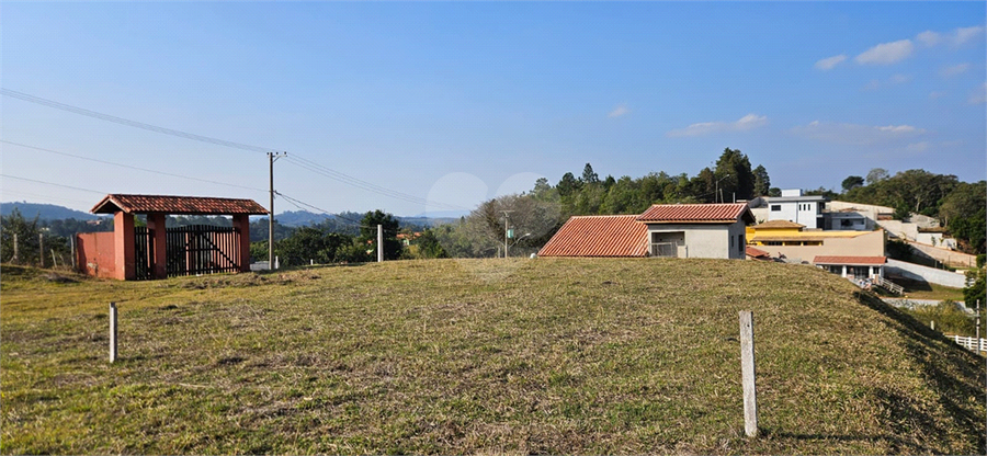 Foto REO1110626