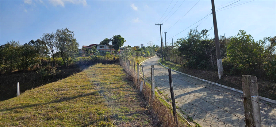 Foto REO1110626
