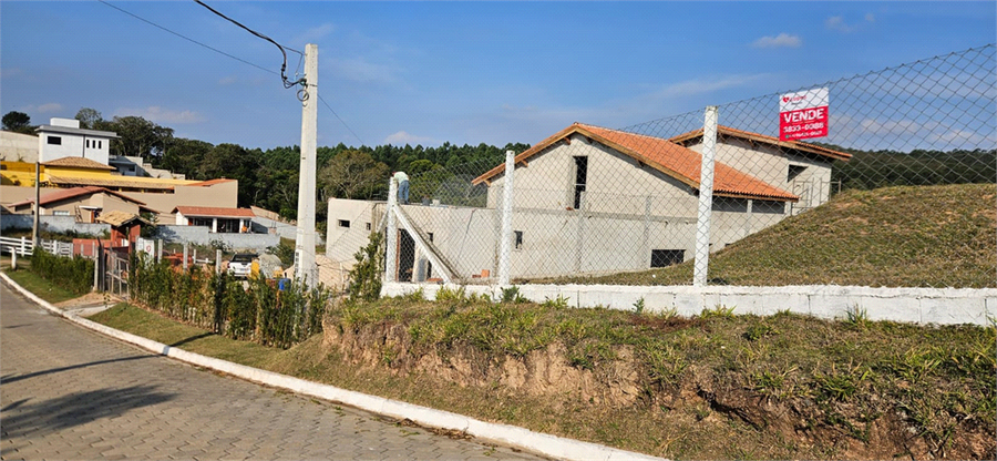 Foto REO1110626