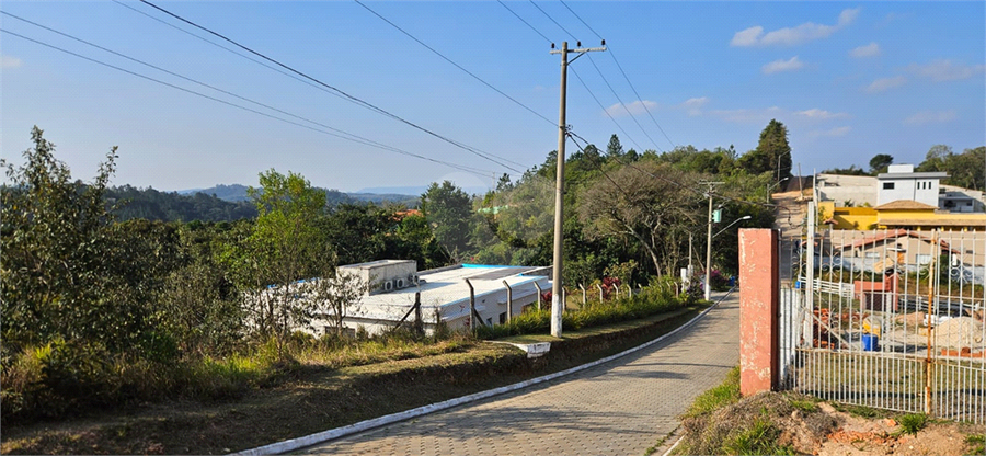Foto REO1110626