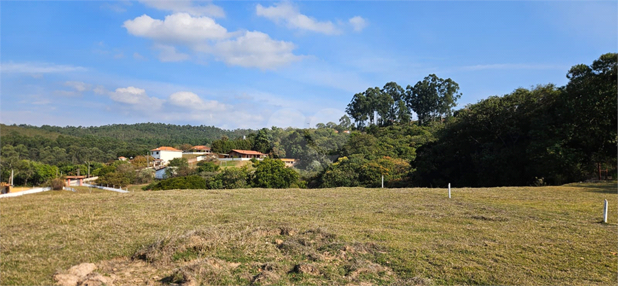 Foto REO1110626