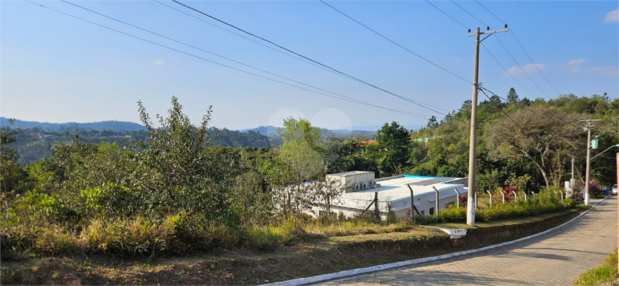 Foto REO1110626