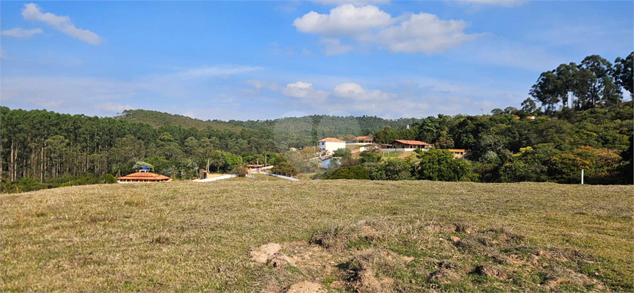 Foto REO1110626