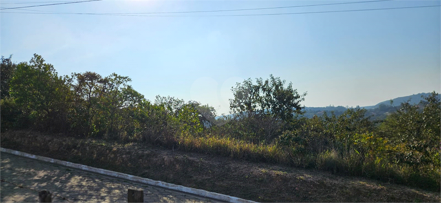 Foto REO1110626