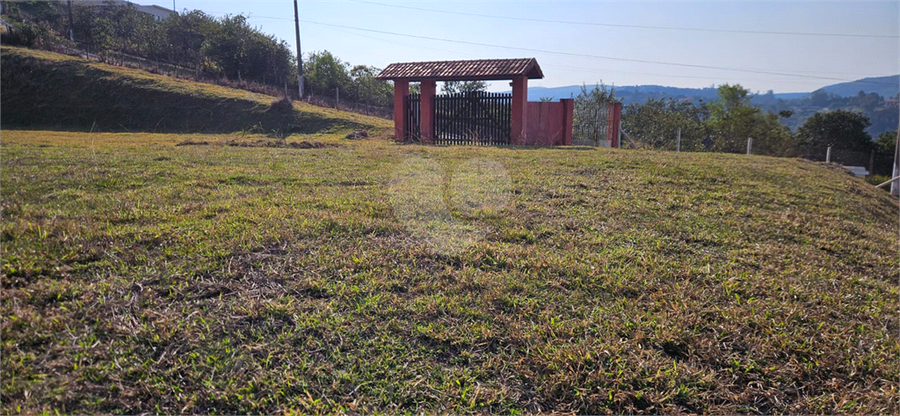 Foto REO1110626