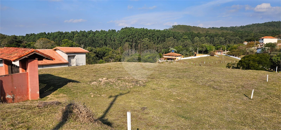 Foto REO1110626