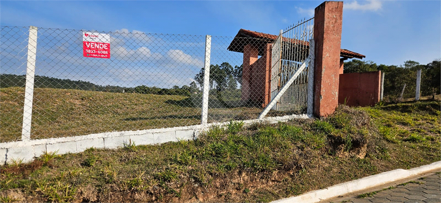 Foto REO1110626