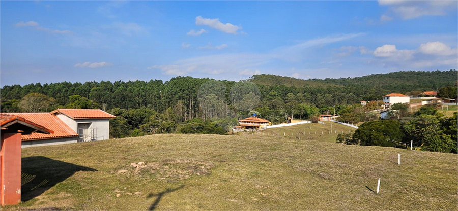 Foto REO1110626