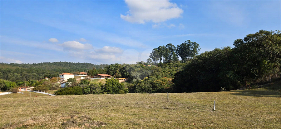 Foto REO1110626