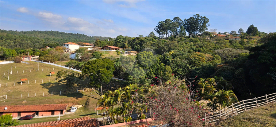 Foto REO1110626