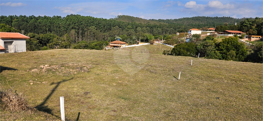 Foto REO1110626