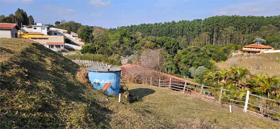 Foto REO1110626