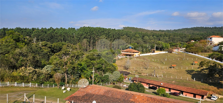 Foto REO1110626