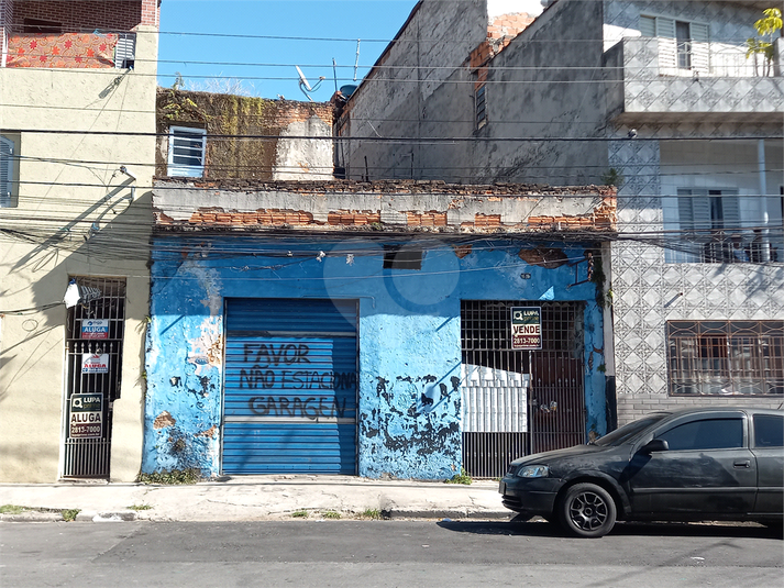 Foto REO1110661