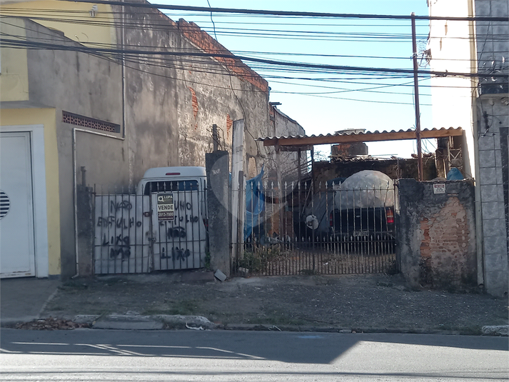 Foto REO1110661