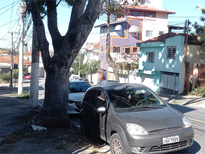 Foto REO1110661