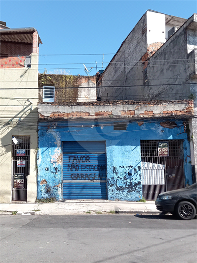 Foto REO1110661