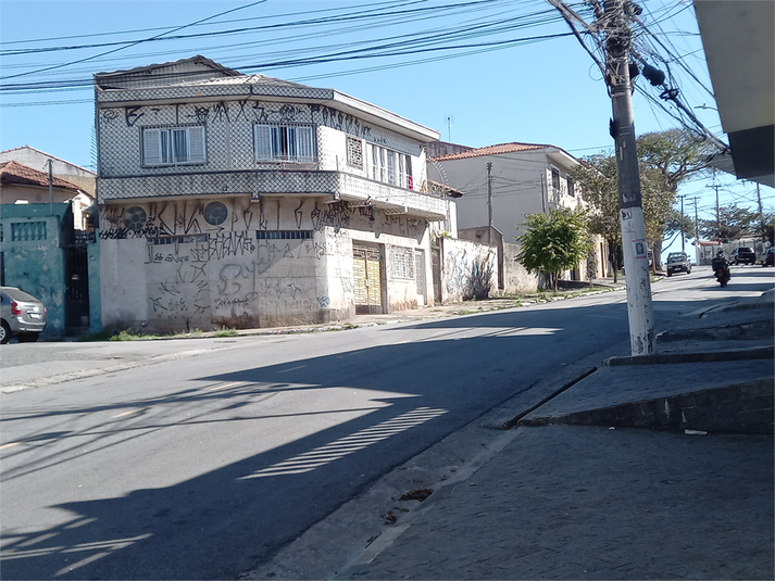 Foto REO1110661
