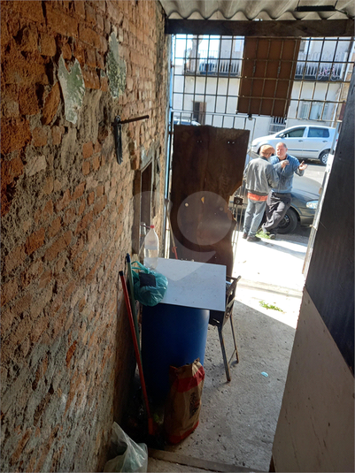 Foto REO1110661