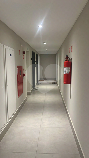 Foto REO1110667