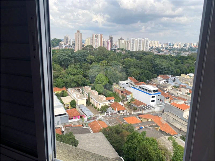 Foto REO1110676