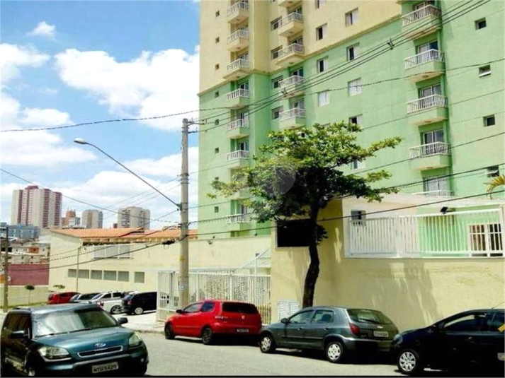 Foto REO1110676