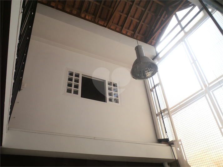 Foto REO111068