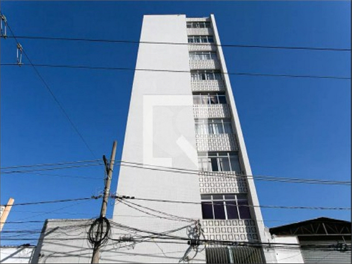 Foto REO1110694