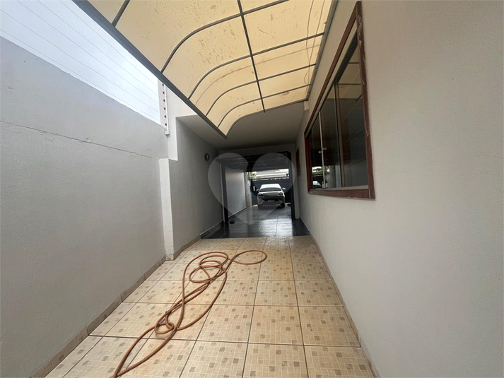 Foto REO1110699