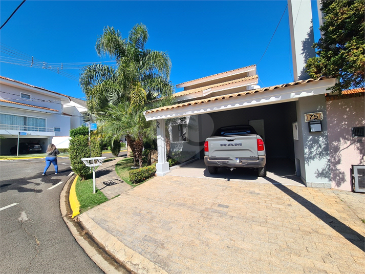 Foto REO1110781