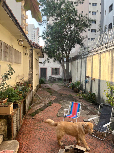 Foto REO1110790